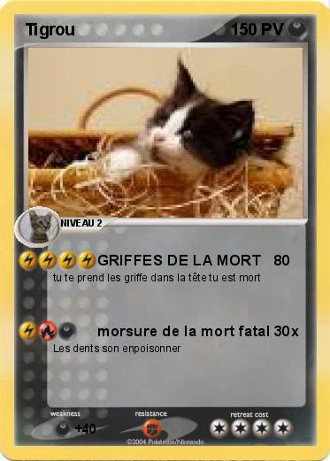 Pokemon Tigrou