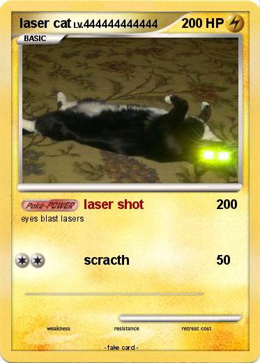 Pokemon laser cat