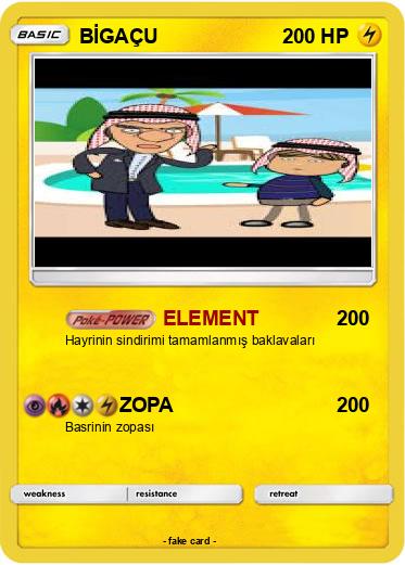 Pokemon BİGAÇU