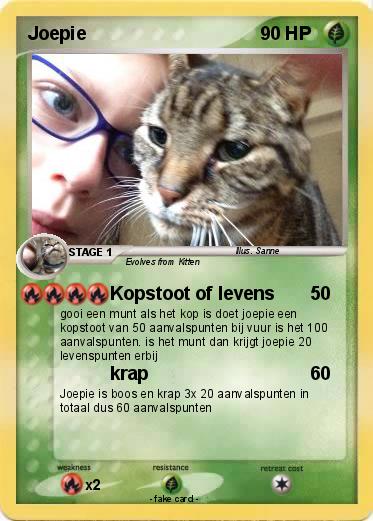Pokemon Joepie