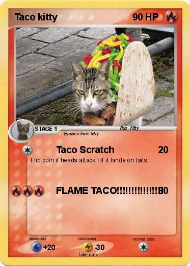 Pokemon Taco kitty