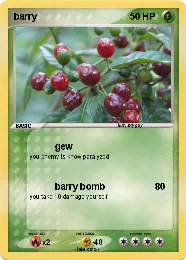Pokemon barry