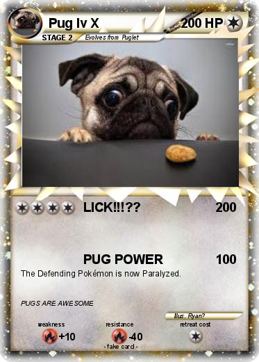 Pokemon Pug lv X