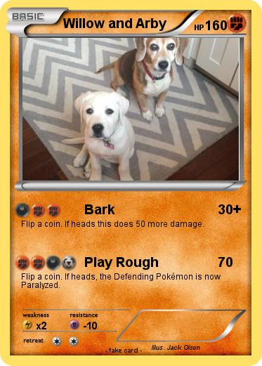 Pokemon Willow and Arby