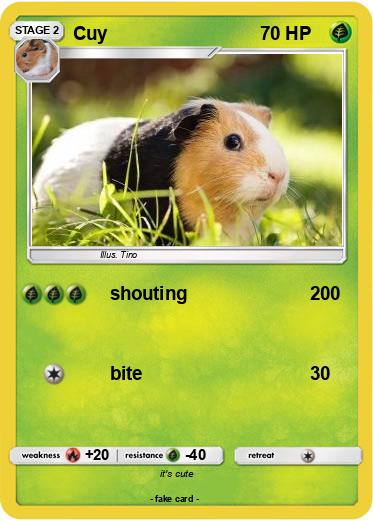Pokemon Cuy