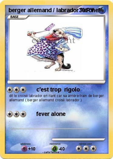 Pokemon berger allemand / labrador fat chef