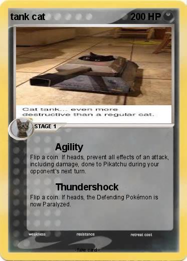 Pokemon tank cat