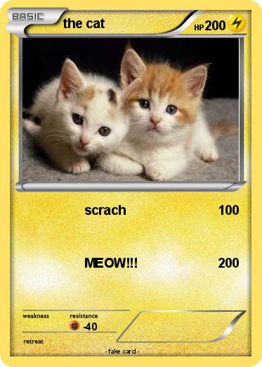 Pokemon the cat