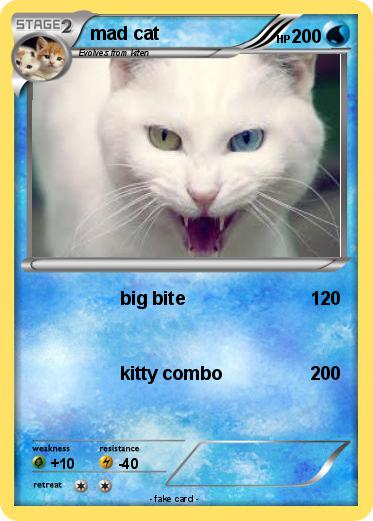Pokemon mad cat