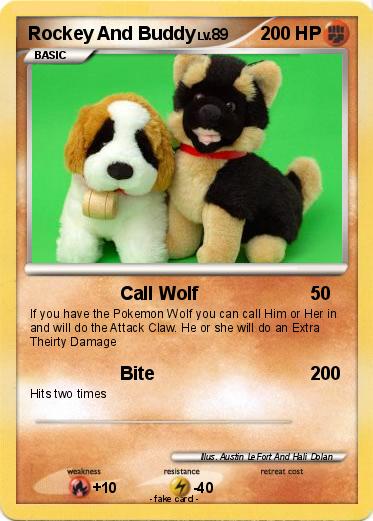 Pokemon Rockey And Buddy