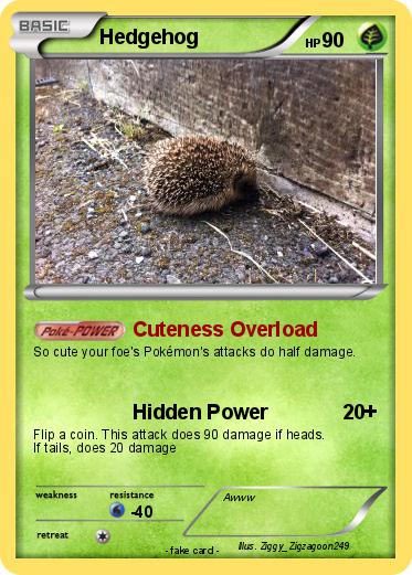 Pokemon Hedgehog