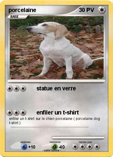 Pokemon porcelaine