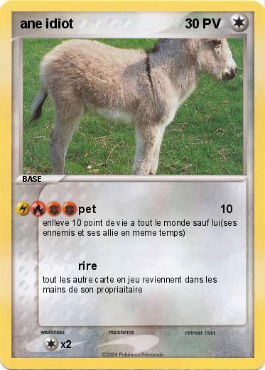 Pokemon ane idiot