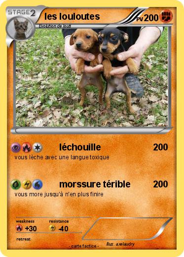 Pokemon les louloutes