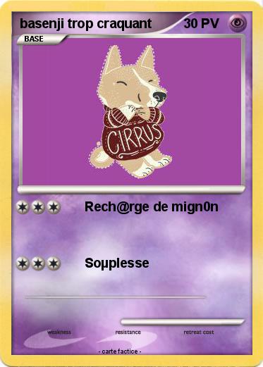 Pokemon basenji trop craquant