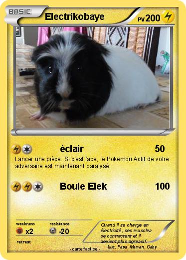 Pokemon Electrikobaye