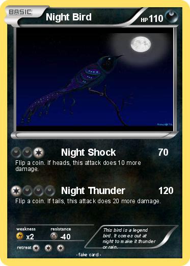 Pokemon Night Bird