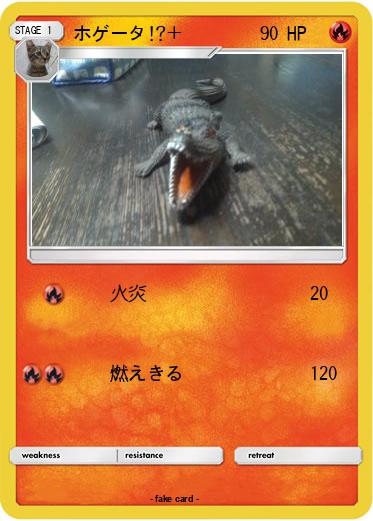 Pokemon ホゲータ!?＋