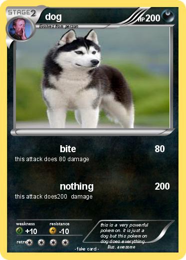 Pokemon dog