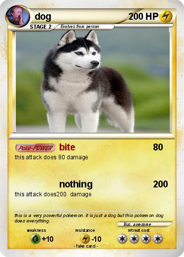 Pokemon dog