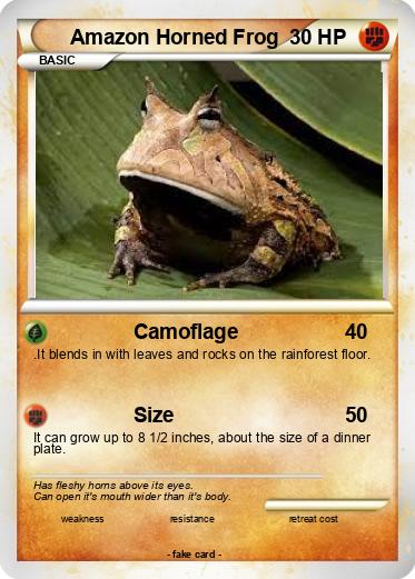 Pokemon Amazon Horned Frog