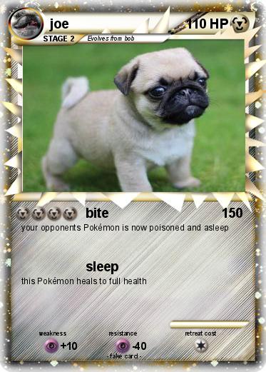 Pokemon joe