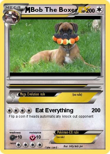 Pokemon Bob The Boxer