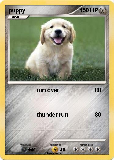 Pokemon puppy