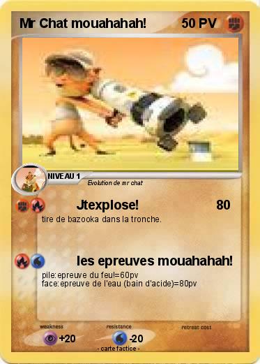 Pokemon Mr Chat mouahahah!