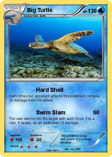 Pokemon Big Turtle