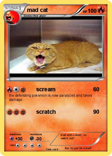 Pokemon mad cat
