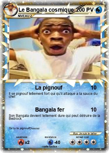 Pokemon Le Bangala cosmique