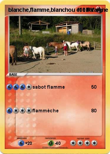 Pokemon blanche,flamme,blanchou et chataigne
