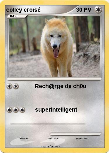 Pokemon colley croisé