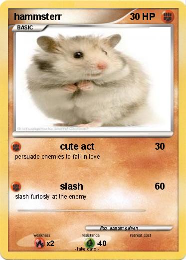Pokemon hammsterr