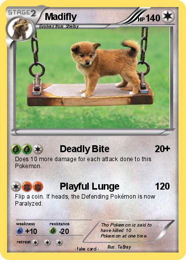 Pokemon Madifly