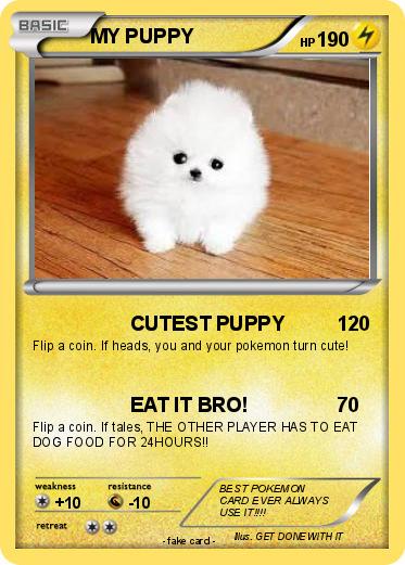 Pokemon MY PUPPY