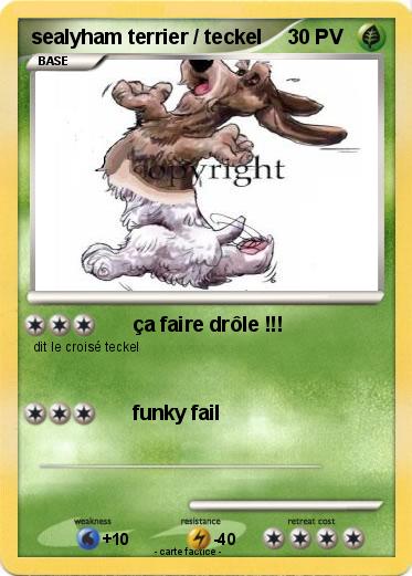 Pokemon sealyham terrier / teckel
