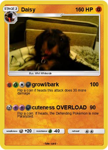 Pokemon Daisy