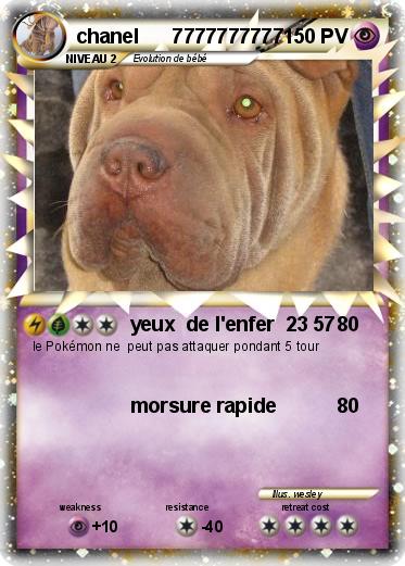 Pokemon chanel      7777777777