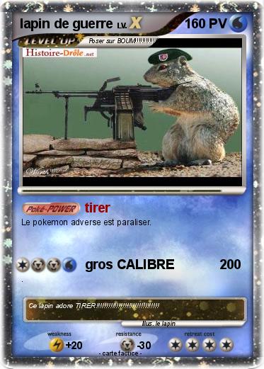 Pokemon lapin de guerre