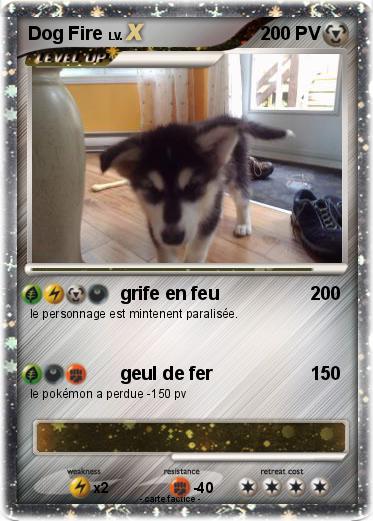 Pokemon Dog Fire