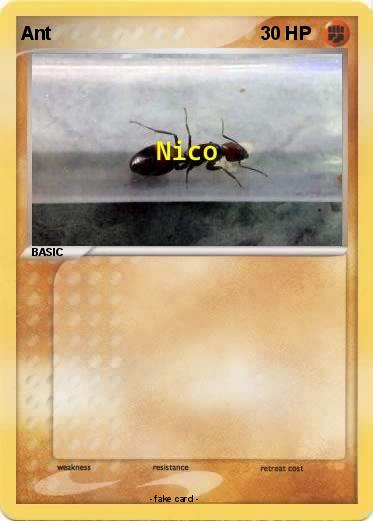 Pokemon Ant