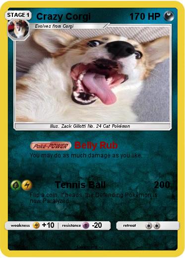 Pokemon Crazy Corgi