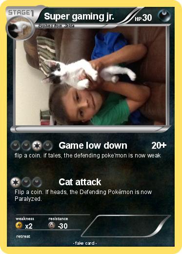 Pokemon Super gaming jr.