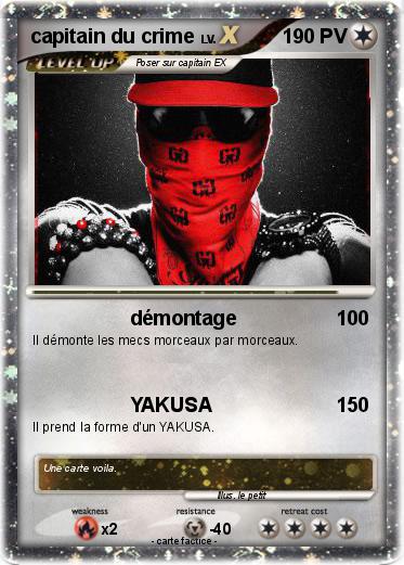 Pokemon capitain du crime