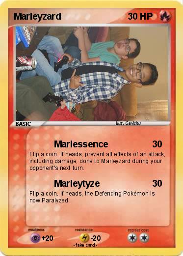 Pokemon Marleyzard