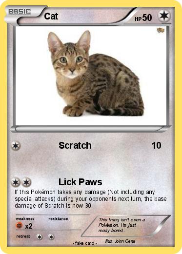 Pokemon Cat