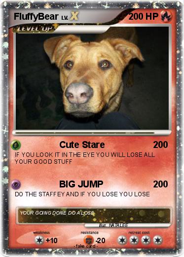 Pokemon FluffyBear