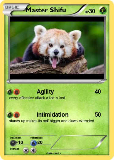 Pokemon Master Shifu